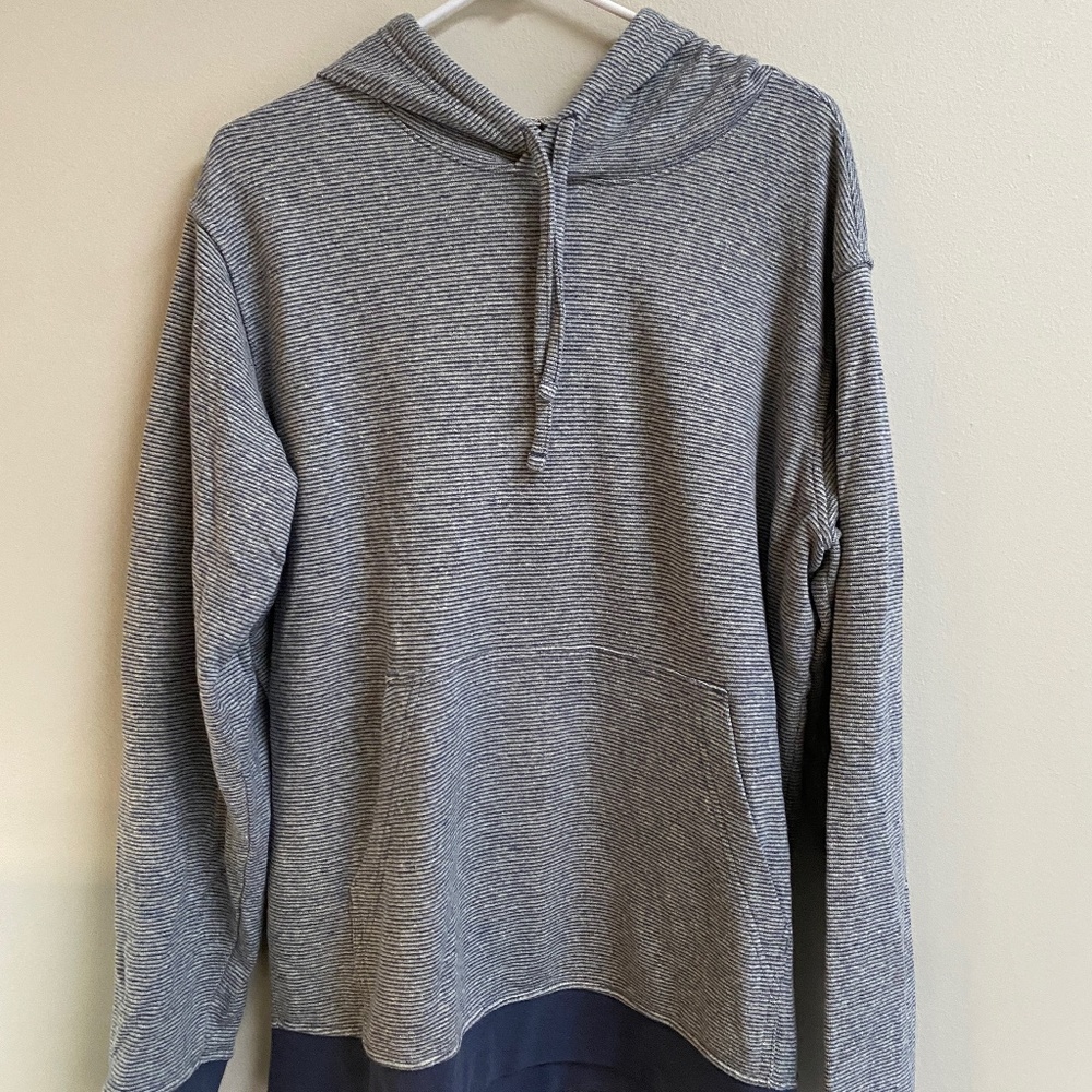Patagonia Pinstripe Hoodie